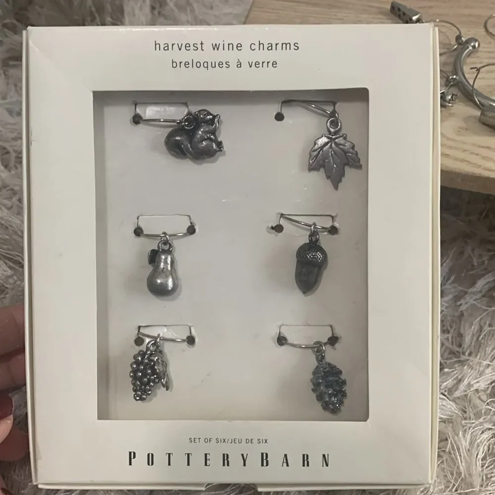 Pottery Barn Metal Harvest Wine Charms Set Of 6 Charms